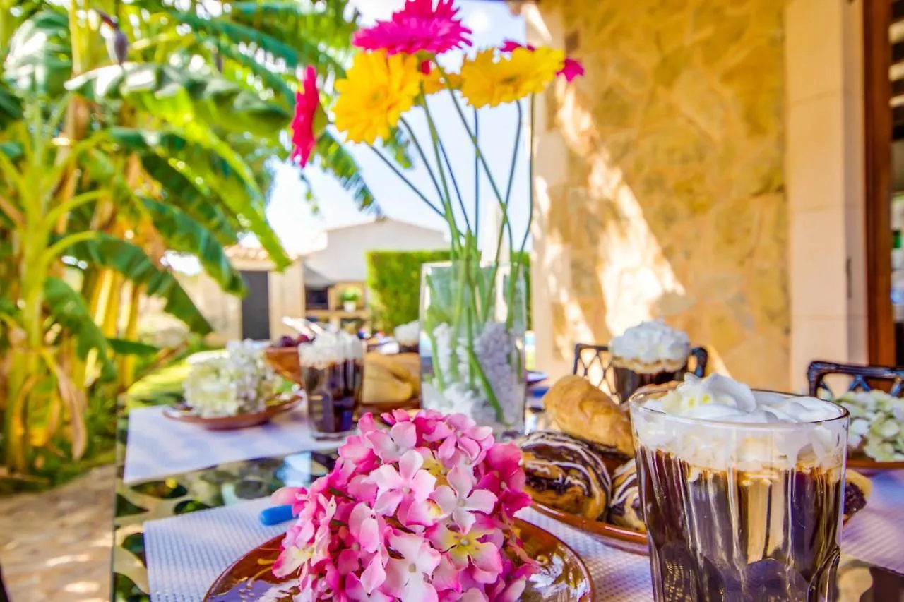 Ideal Property Mallorca - Es Puput Petra  Country house Petra (Mallorca)