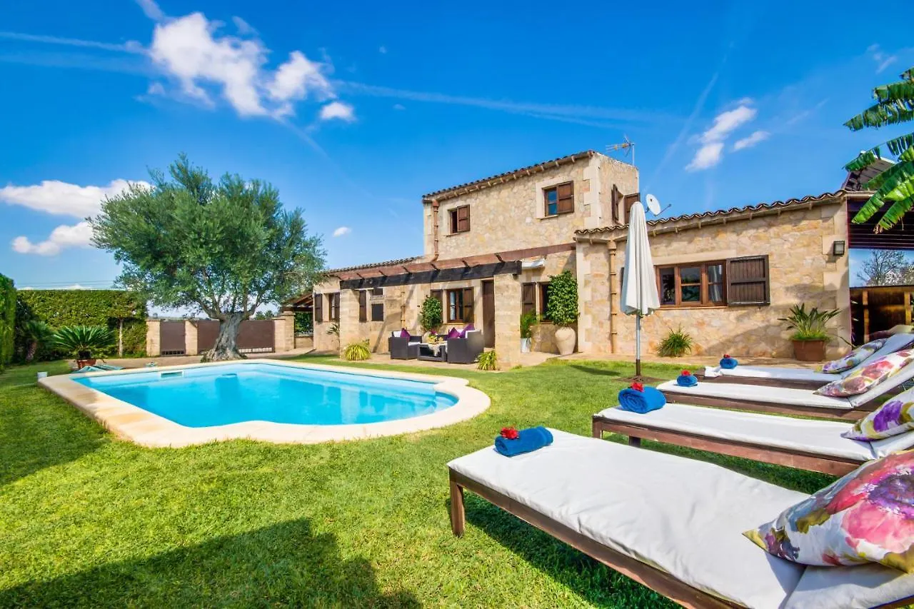 Ideal Property Mallorca - Es Puput Petra  Spain