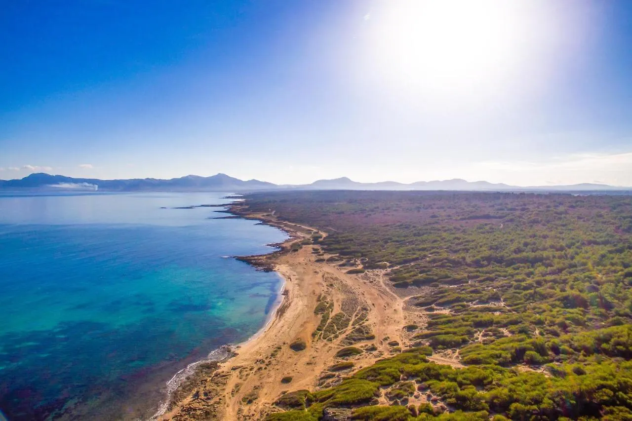 Ideal Property Mallorca - Es Puput Petra  Country house Petra (Mallorca)